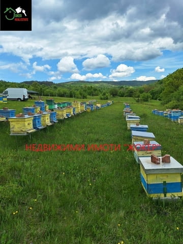 Парцел с пчелин в село Войнежа 1710 m2, Land - city of Veliko Tarnovo | Land - снимка 2
