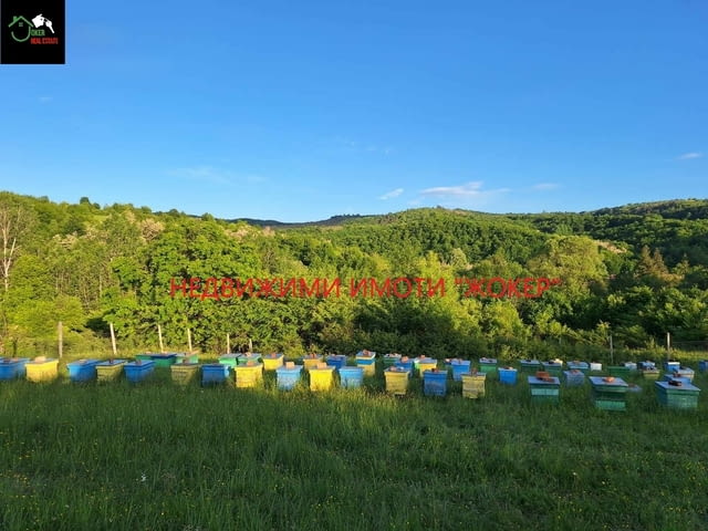 Парцел с пчелин в село Войнежа 1710 m2, Land - city of Veliko Tarnovo | Land - снимка 3