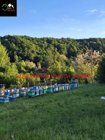 Парцел с пчелин в село Войнежа 1710 m2, Land - city of Veliko Tarnovo | Land - снимка 4