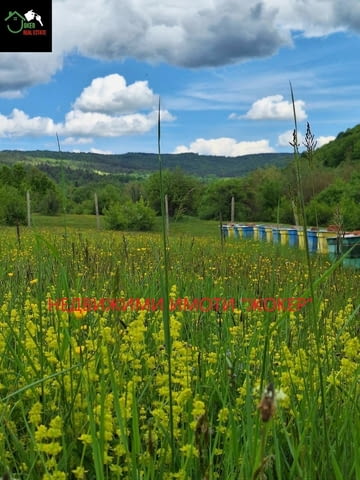 Парцел с пчелин в село Войнежа 1710 m2, Land - city of Veliko Tarnovo | Land - снимка 5