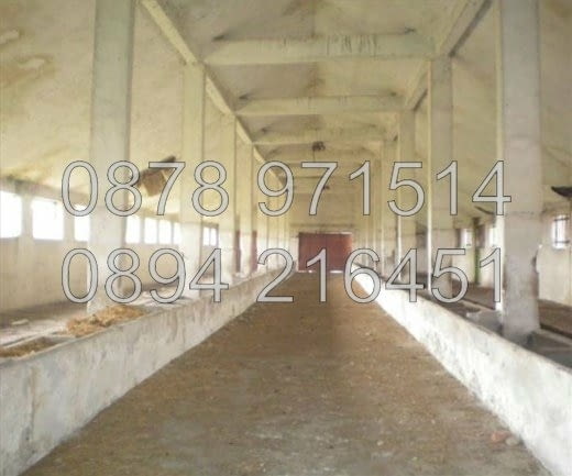 Код 15249. Стопански постройки - халета /бивши животновъдни ферми/ 1200м2 върху площ 5500м2, построй - снимка 8