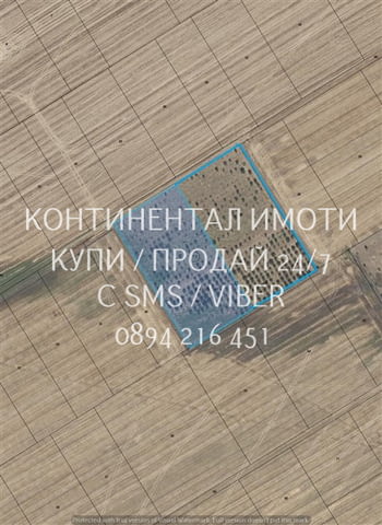 Код 70039. Черешова градина 13дка в с Козаново, Имотът се състои от два съседни по 6500м2 и е с изгр - снимка 1