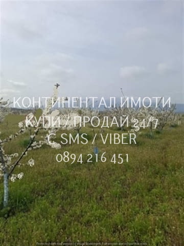 Код 70039. Черешова градина 13дка в с Козаново, Имотът се състои от два съседни по 6500м2 и е с изгр - снимка 4