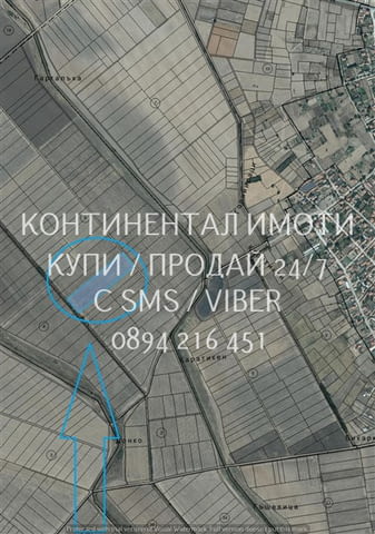 Код 70042. Нива 16дка, 5-та кат., на около 700 м от селото, с много лесен достъп по широки селски пъ - снимка 2