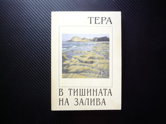 В тишината на залива Тера драматизъм чувство за хумор стил любов омраза смисъл битие насилие самота - снимка 1