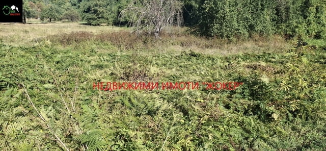 Пацел в регулация в село Белица 1500 м2, За жил.строителство - село Белица | Парцели / Земя - снимка 1