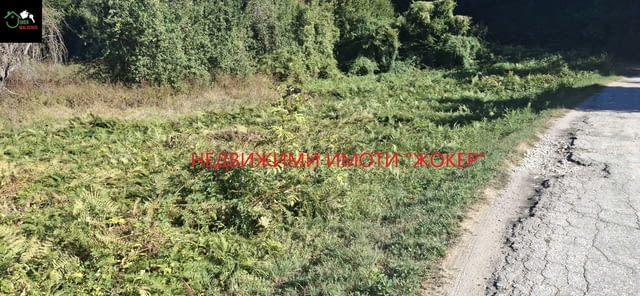 Пацел в регулация в село Белица 1500 м2, За жил.строителство - село Белица | Парцели / Земя - снимка 2