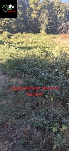Пацел в регулация в село Белица 1500 м2, За жил.строителство - село Белица | Парцели / Земя - снимка 3