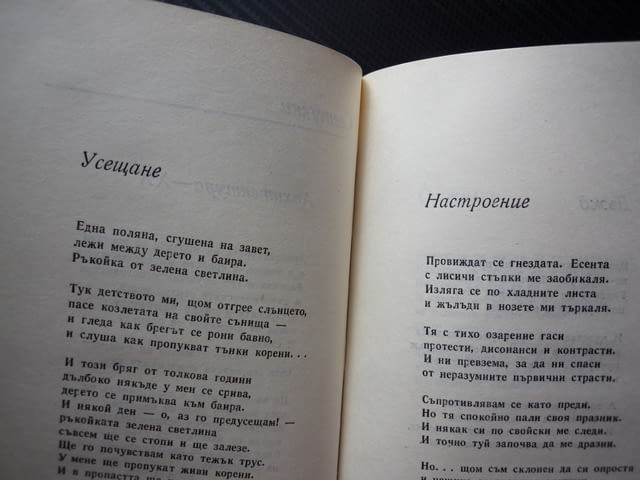 На глас и на ум Първан Стефанов стихотворения поеми пътуване към усмивката светулки кошница с петле - снимка 2