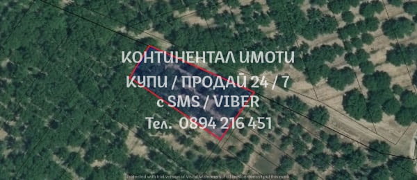 Код 62679. Кодо 62679.Две орехови градини - 5дка едната е с достът пряк достъп от шосето на 450м, а - снимка 1