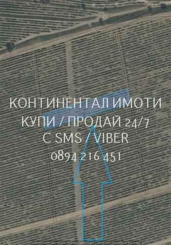 Код 70060. Лозе 1500м2, лесен достъп от винения комплекс Загрей, наблизо има и микроязовир. Сорт Сир - снимка 1