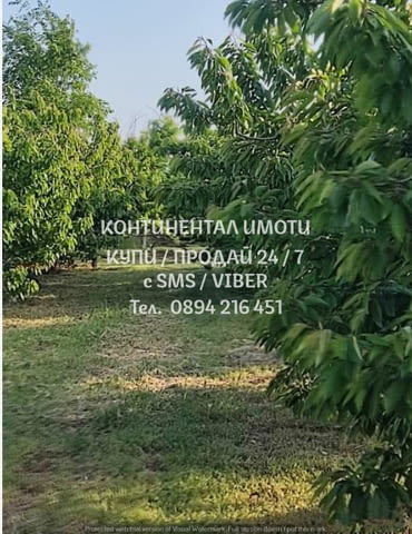Код 62767. кодг.62767. Овощна градина - череши 5500м2 с добра перспектива и за промишлен имот, склад - снимка 4