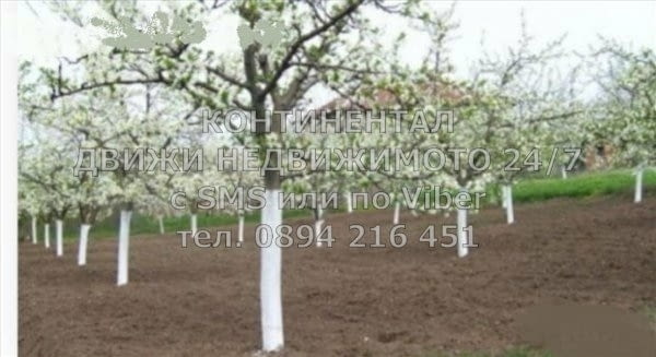 Код 62321. кодо.62321. Дворно място 2000м2 с ток и вода с партида и функциониращ кладенец.Имотът се - снимка 7