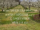 Код 70107. Масив 17дка със сливи Стенлей, поддържан, със сондаж за поливане, лесен достъп по коларск