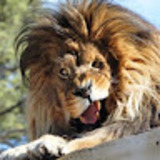 Виктор Воинский