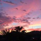 Николай Рагин